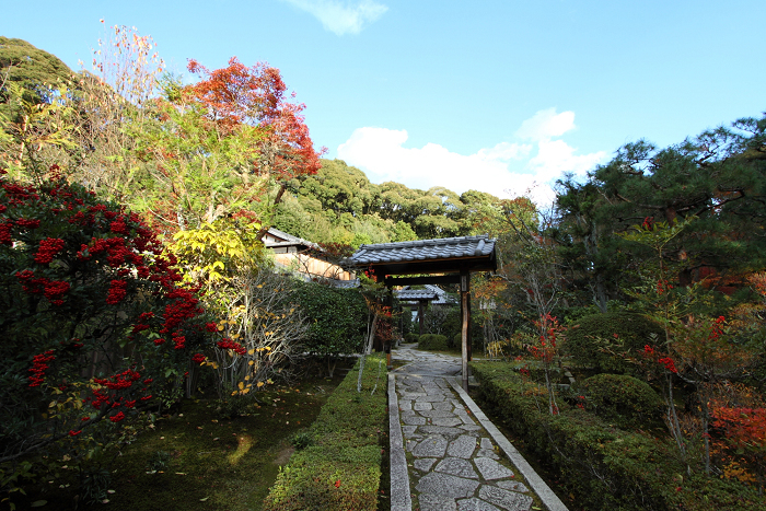 紅葉の東福寺 －即宗院－_b0169330_7141088.jpg