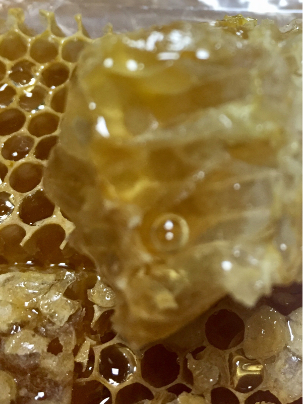 c0225536_20452765.jpg