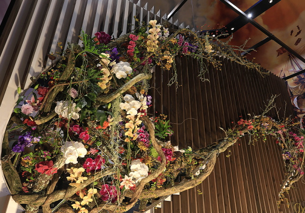 ハウステンボス 花と庭の世界大会・フラワーガーデンショー2016 特別展示_b0221139_17015211.jpg