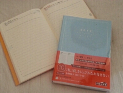 来年の体調記録用･･･1日1頁の日記帳ほか_c0330749_21205960.jpg