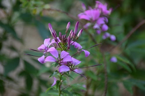 f0343750_23071798.jpg