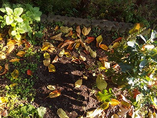 e0004756_2012140.jpg
