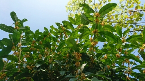 b0346961_15395801.jpg