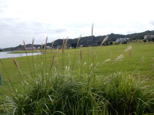 ’16,10,18(火)同じ景色でも毎日違う!_f0060461_1240095.jpg