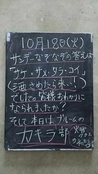 やりたいことやったもん勝ちツアー Bloomと私 やりたいことやったもん勝ちツアー Bloomと私