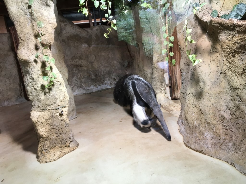 ミュンヘンの動物園_d0116376_07184653.jpg