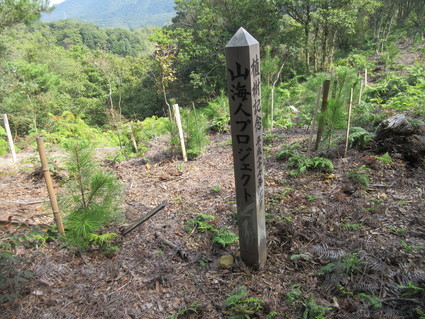 f0053885_1932668.jpg