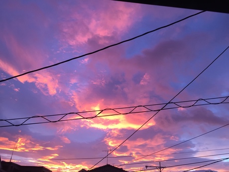 朝焼け_f0218886_1730564.jpg