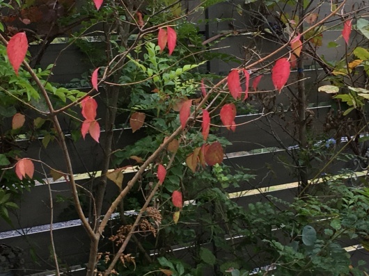 b0336787_00034053.jpeg