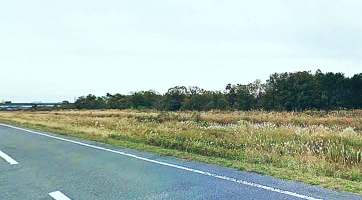 a0163788_21315560.jpg