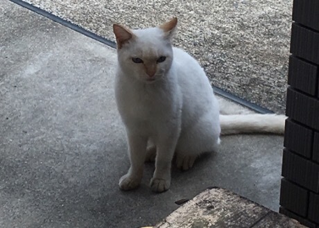 b0035391_21582433.jpeg