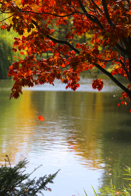 中島公園♪_f0001895_15452032.jpg