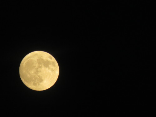 f0204295_16582014.jpg
