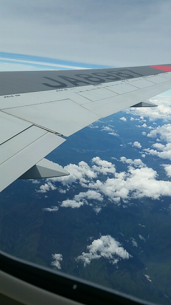JAL  SKYWi-Fiを使ってみました！_d0092901_21325150.jpg