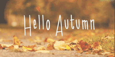 Hello Autumn!  Almost Halloween!_c0172504_13264505.gif