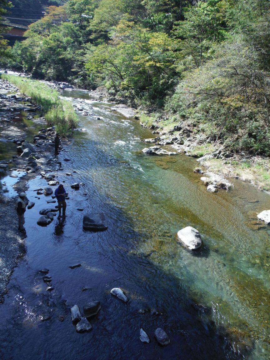 b0172805_04686.jpg