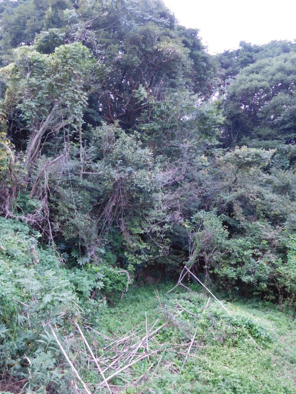 a0125419_15224703.jpg