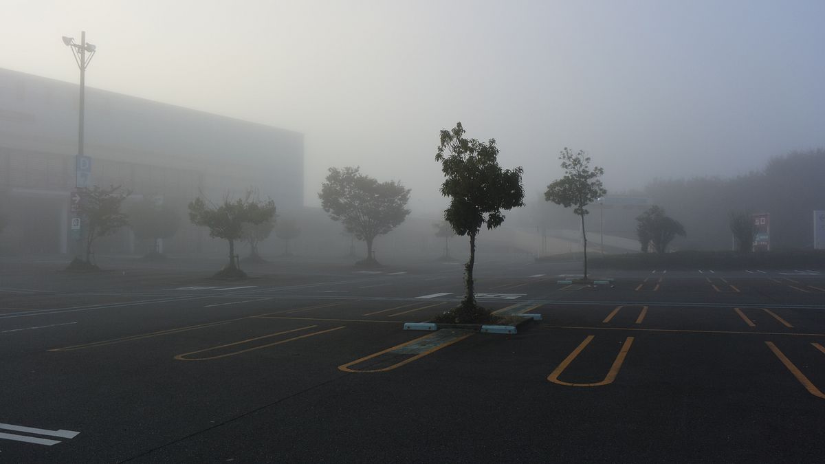 濃霧の朝散歩は普段と違う風情が面白い_a0031821_112544.jpg