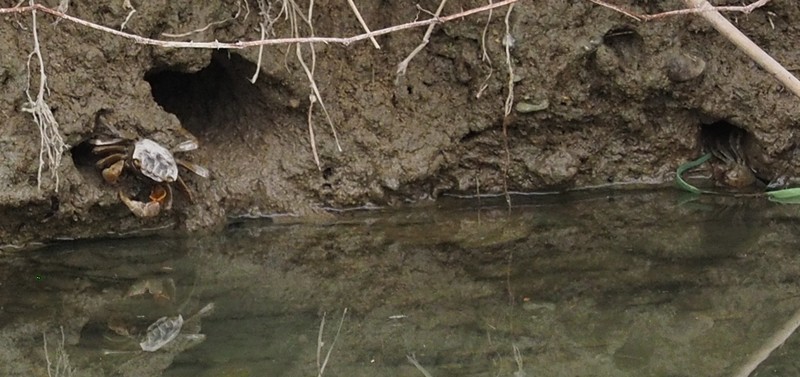 c0369423_20385145.jpg