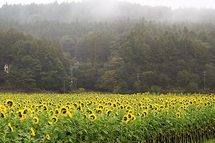f0354923_23003315.jpg
