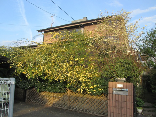 c0280729_14471037.jpg
