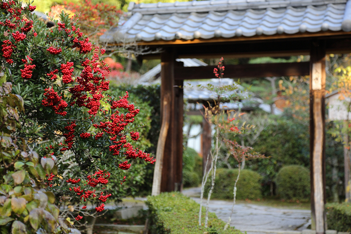 紅葉の東福寺 －即宗院－_b0169330_232721.jpg