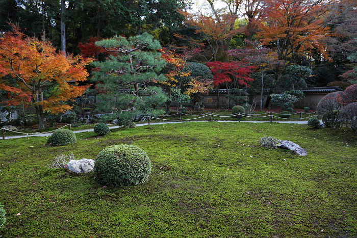 紅葉の東福寺 －即宗院－_b0169330_2328888.jpg