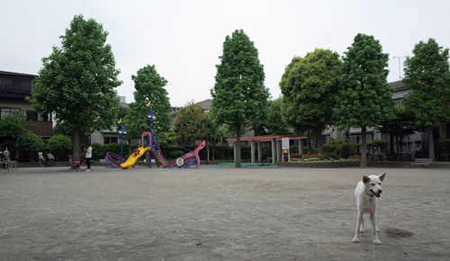 Vol.1094 小倉下町公園_a0117039_22393895.jpg