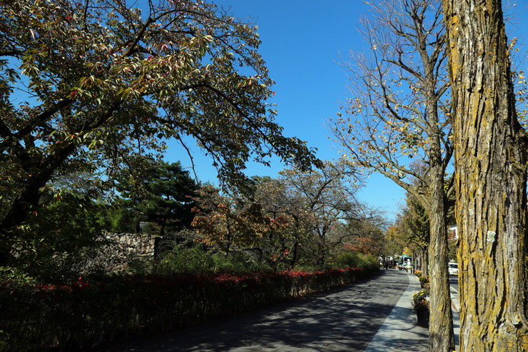 a0120949_6412620.jpg
