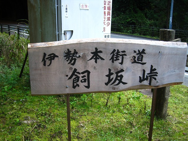 d0048350_1125365.jpg