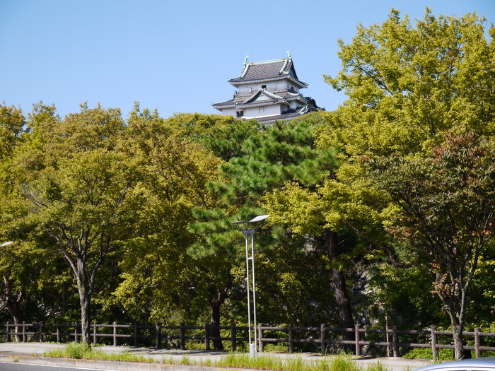　　桜色づく_b0093754_21333460.jpg