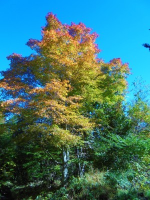 f0364455_00131796.jpg
