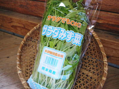 水耕栽培の朝採り新鮮野菜大好評発売中!無農薬栽培のフレッシュな生野菜を即日発送でお届けします!_a0254656_19441548.jpg