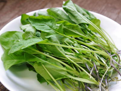 水耕栽培の朝採り新鮮野菜大好評発売中!無農薬栽培のフレッシュな生野菜を即日発送でお届けします!_a0254656_1994976.jpg