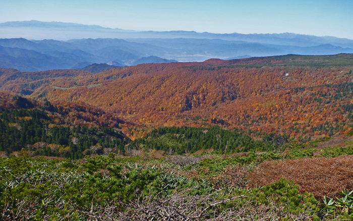 b0277159_22165530.jpg