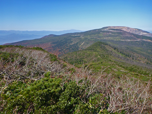 b0277159_22194419.jpg