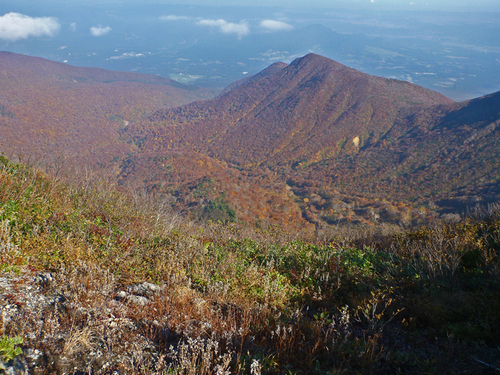 b0277159_22261782.jpg