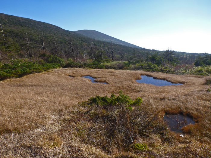 b0277159_22275987.jpg