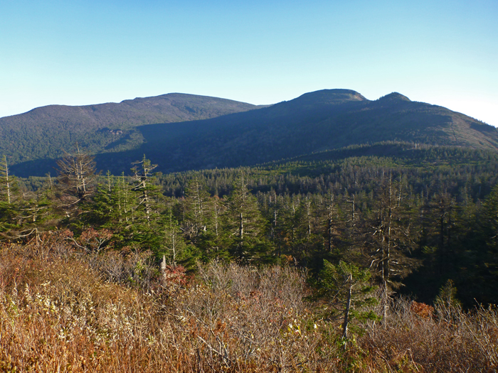 b0277159_22353232.jpg