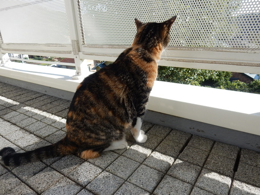 ’16,10,19(水)小さい秋みつけた~!_f0060461_10304294.jpg