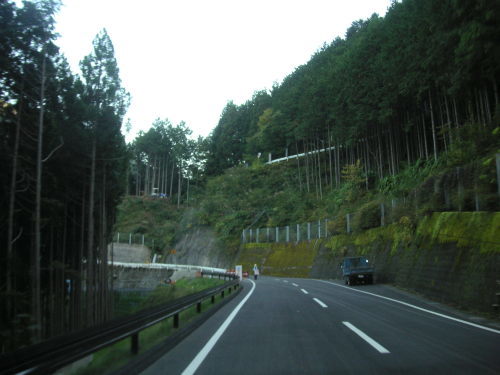 大井川鉄道とサイクリング_b0332867_14381593.jpg