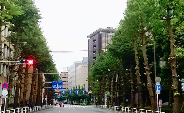 f0215179_9523360.png