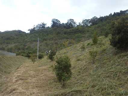 f0053885_19382556.jpg