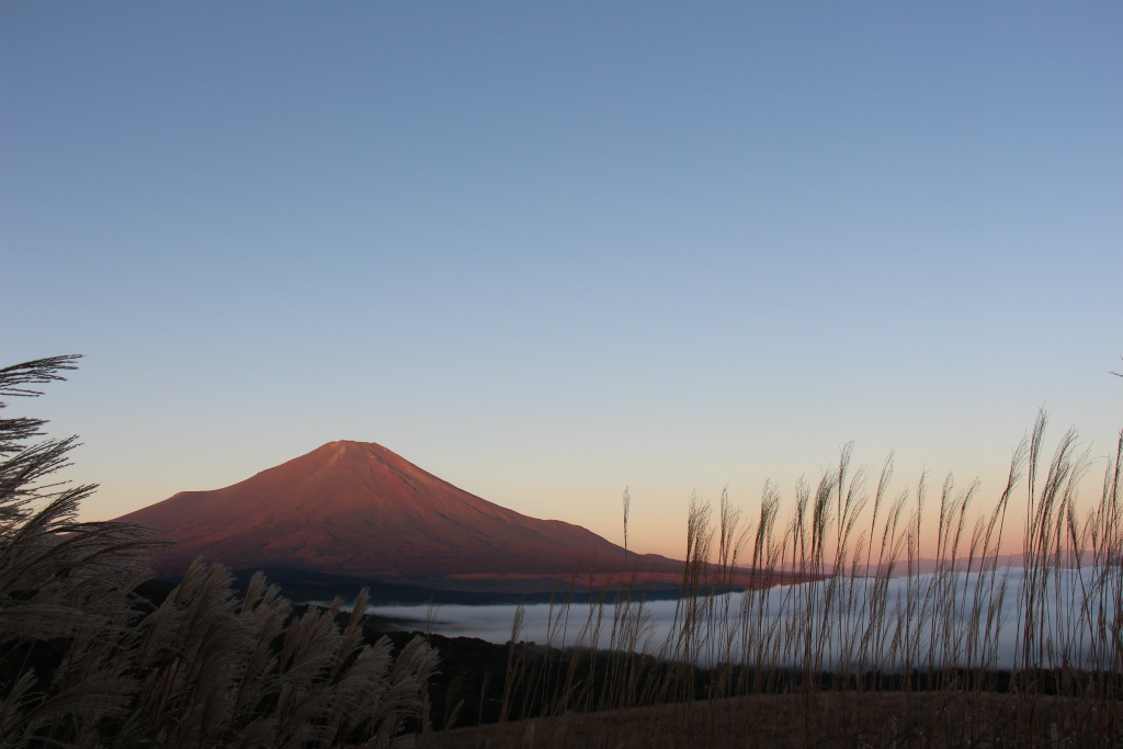 夜明けの富士山＠パノラマ台_e0338886_09582380.jpg