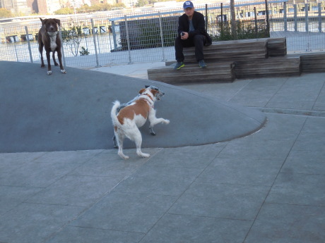 c0253487_03144322.jpg