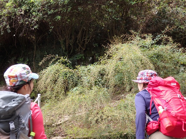 2016.10.19（水）虚空蔵山（焼肉）_d0326888_18335673.jpg