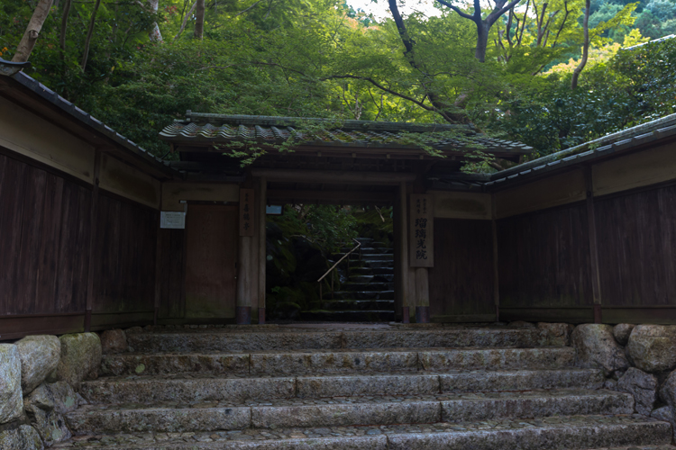瑠璃光院_e0051888_7143762.jpg