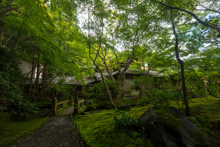 瑠璃光院_e0051888_7145579.jpg