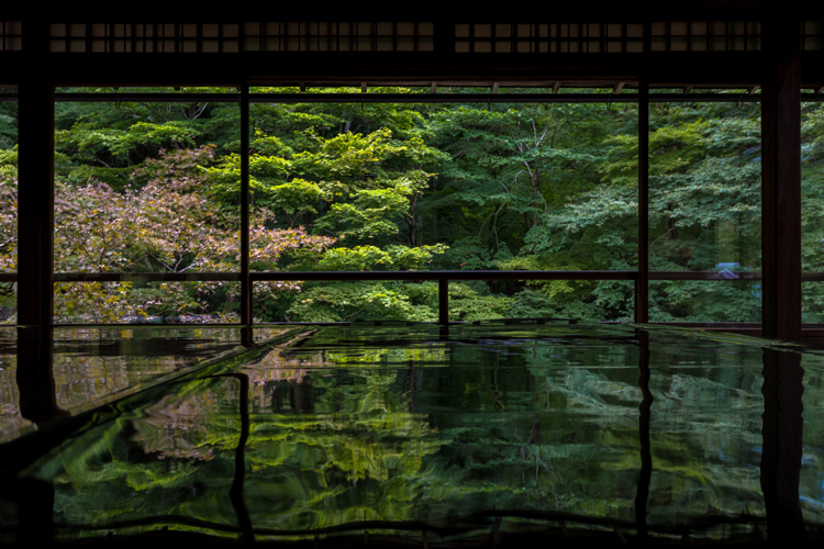 瑠璃光院_e0051888_7153793.jpg