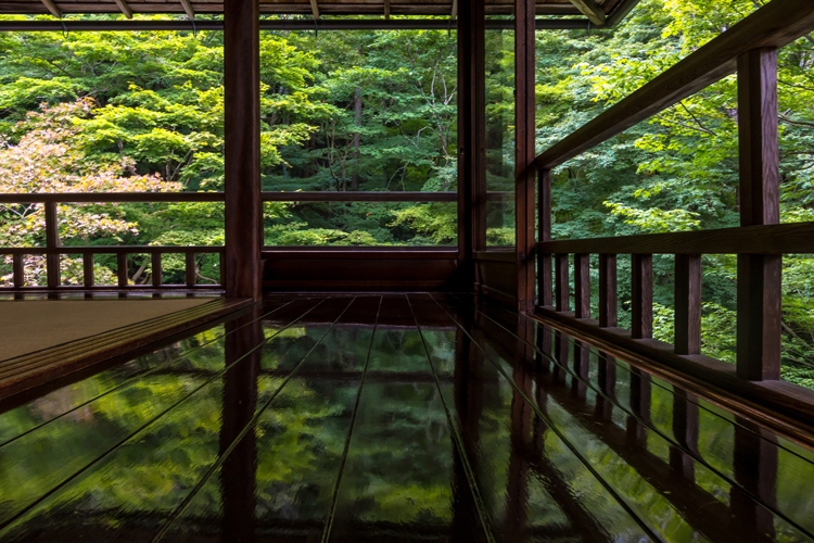 瑠璃光院_e0051888_7155172.jpg
